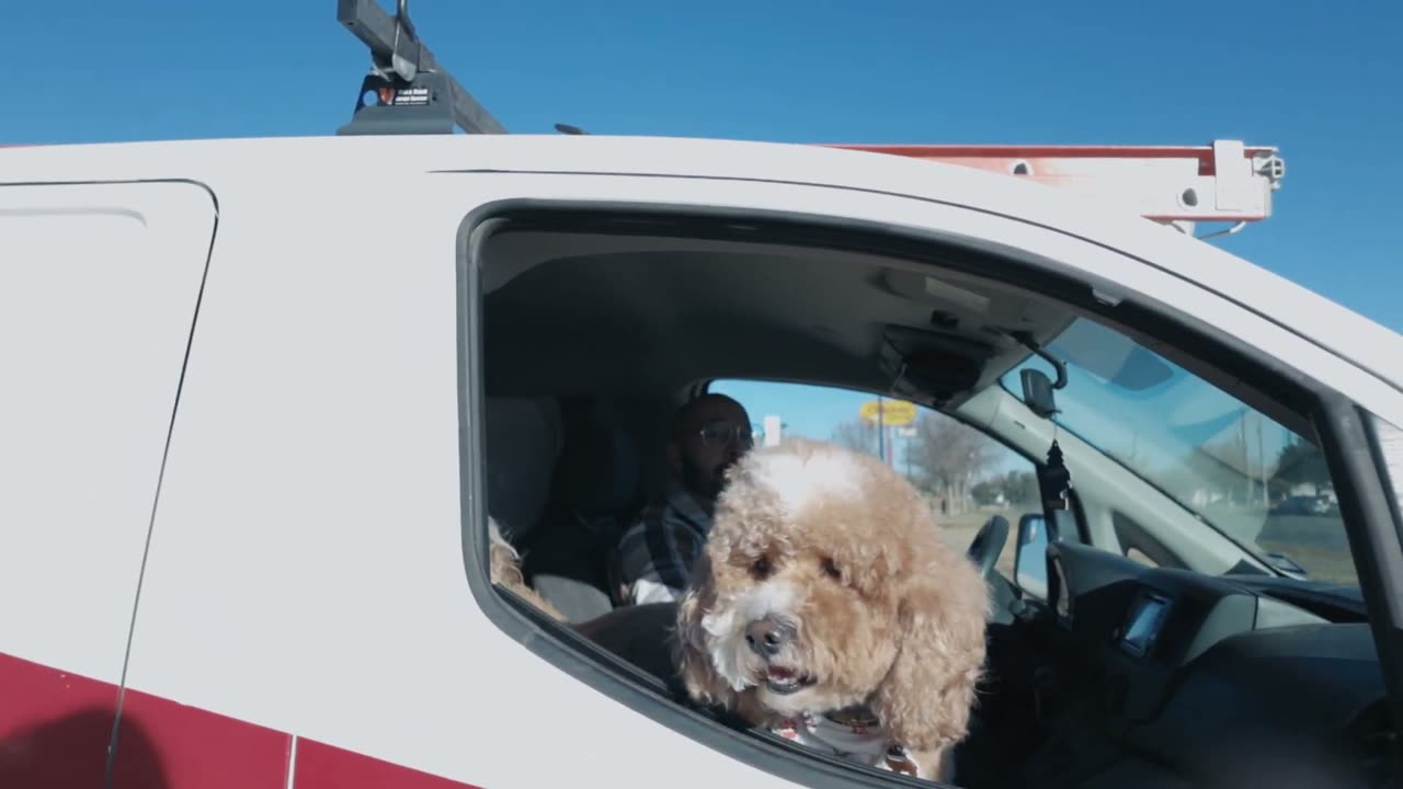 Jasper riding shotgun in a Plains Internet service van